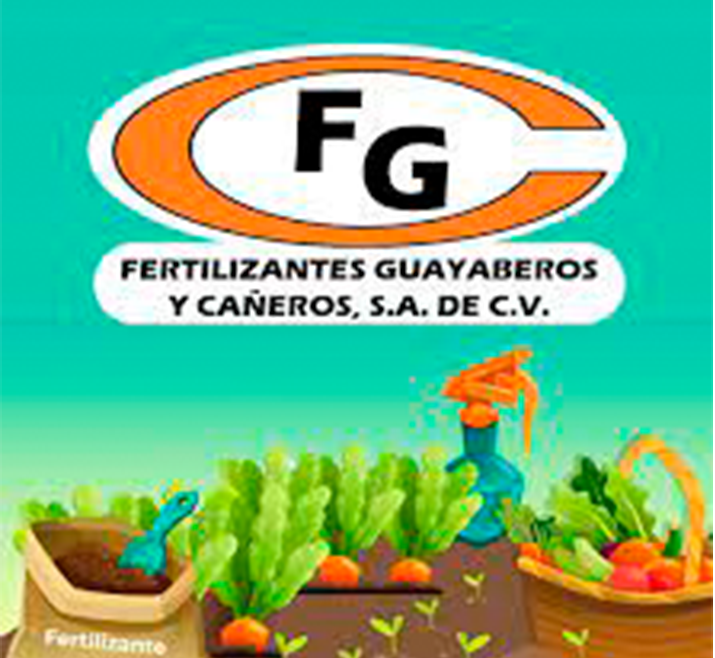 pacifex cliente asegurado de carga pacifex cliente asegurado de carga