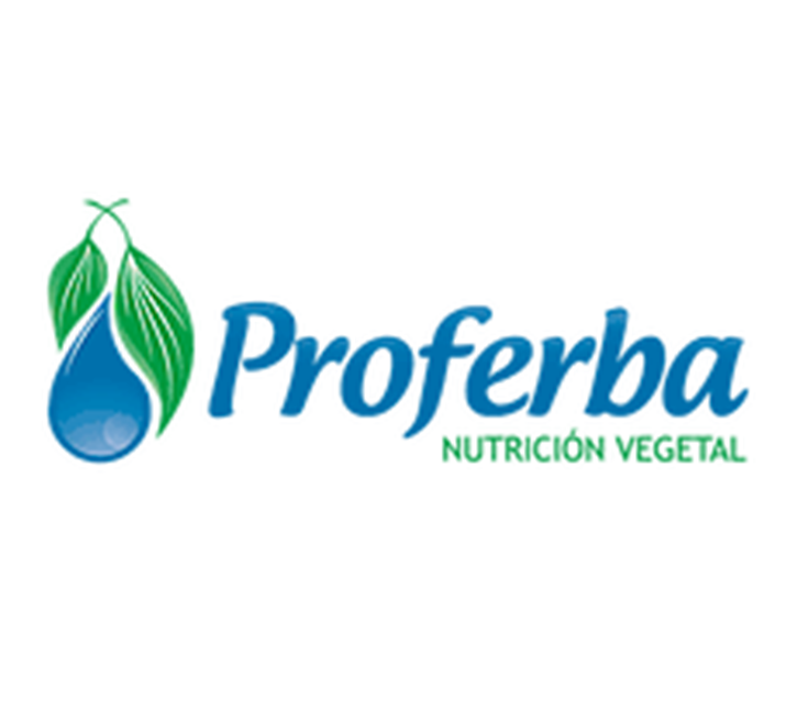 odelpa cliente asegurado de carga odelpa cliente asegurado de carga
